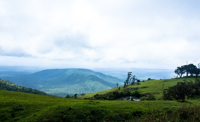 根據賽後數 根據賽後數