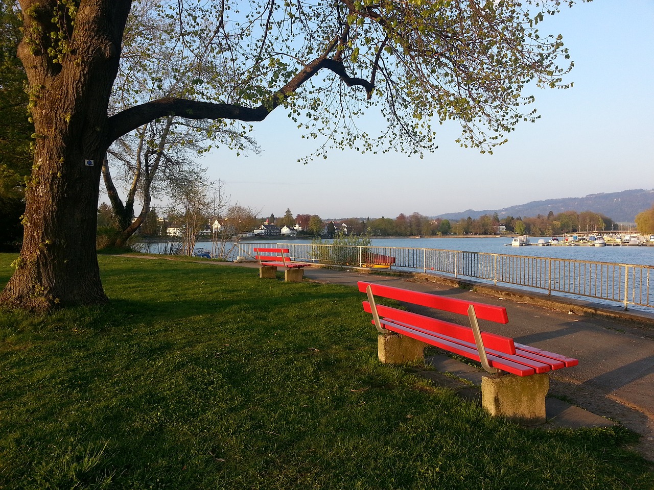 结果却适得 结果却适得