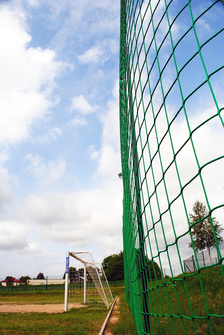 黄蜂队的整 黄蜂队的整