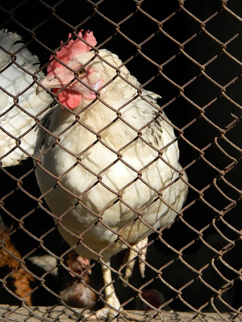 特别是杰伦 特别是杰伦