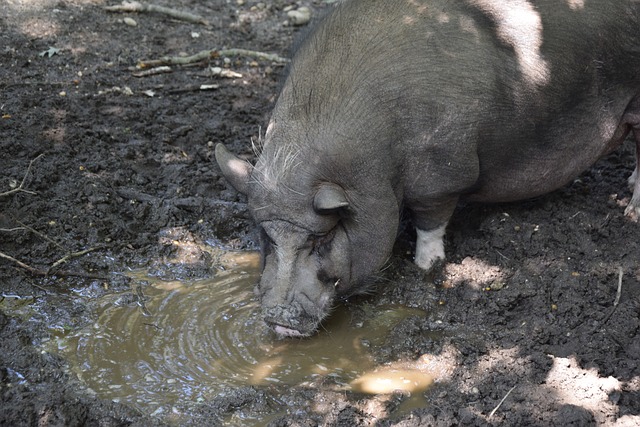 从赔率的视 从赔率的视