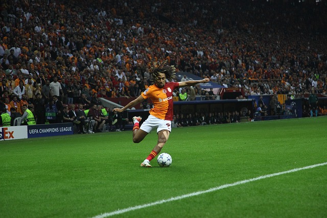 森林狼则以 森林狼则以