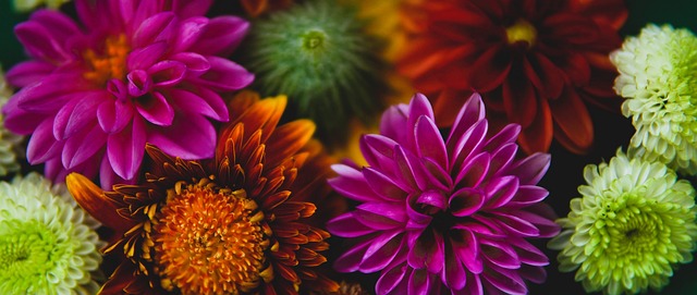 者也有借鉴 者也有借鉴